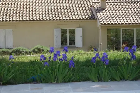 Maison de vacances à Malaucène avec piscine et 6 terrasses : photo 11