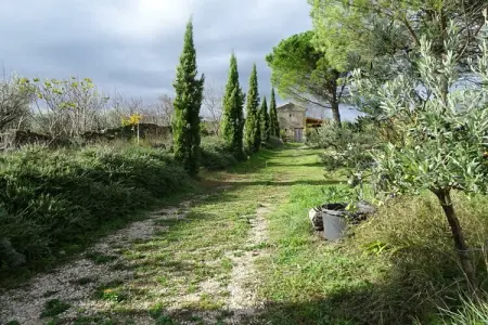 Maison de vacances à Malaucène avec piscine et 6 terrasses : photo 19