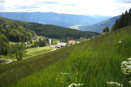 Chalet Mountain Lodge Oberplantal, 14 pers. à Tesselberg : photo 9