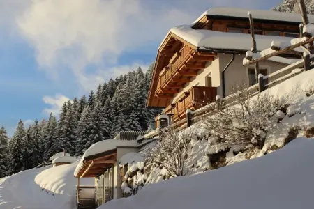 Chalet Mountain Lodge Oberplantal, 14 pers. à Tesselberg : photo 19