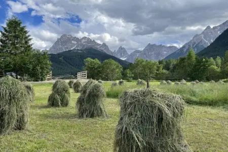 Maison 7 personnes à Sexten, 800 m des pistes : photo 12