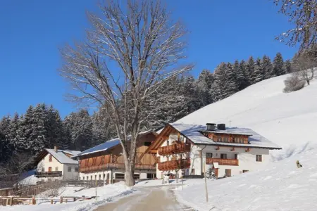 Maison de vacances à la ferme à Niederdorf : photo 2