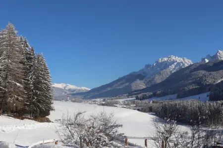 Maison de vacances à la ferme à Niederdorf : photo 7