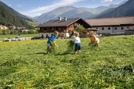 Maison de ferme à Gsies pour 5 personnes avec animaux : photo 5