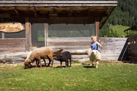 Maison de ferme à Gsies pour 5 personnes avec animaux : photo 7