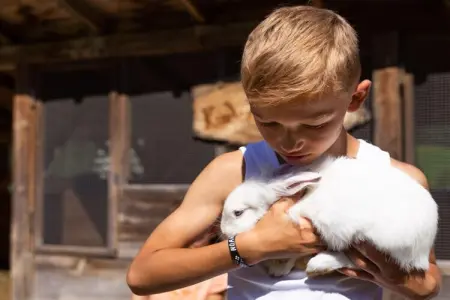 Maison de ferme à Gsies pour 5 personnes avec animaux : photo 10