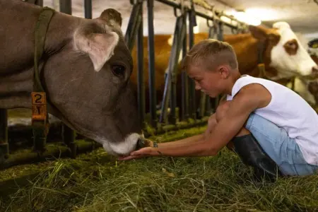 Maison de ferme à Gsies pour 5 personnes avec animaux : photo 11