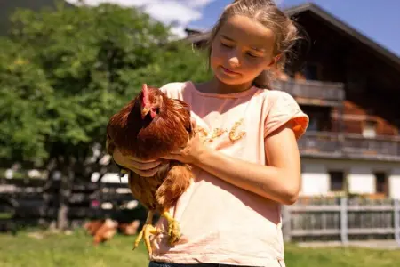 Maison de ferme à Gsies pour 5 personnes avec animaux : photo 12