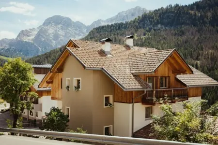 Appartement neuf 2 chambres à Wengen avec navette ski : photo 7