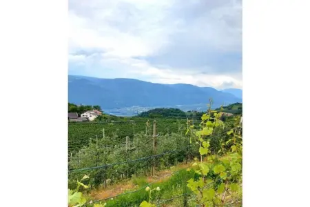 Maison 6 pers. avec piscine privée à Voellan bei Lana : photo 15
