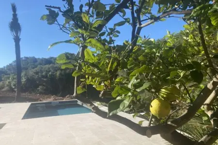 Villa 4 personnes avec terrasse panoramique à Colonia de Sant Pere : photo 23