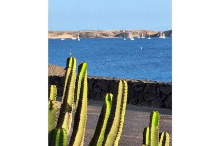 Villa El Paraiso à Playa Blanca, 3 chambres, piscine : photo 30