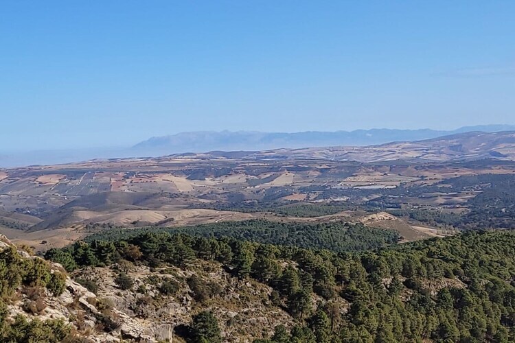 Maison 4 pers. vue baie à Caleta de Vélez, près golf - Photo 28