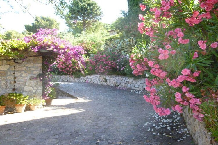 Maison pierre Toscane, vue mer panoramique à Capoliveri - Photo 2