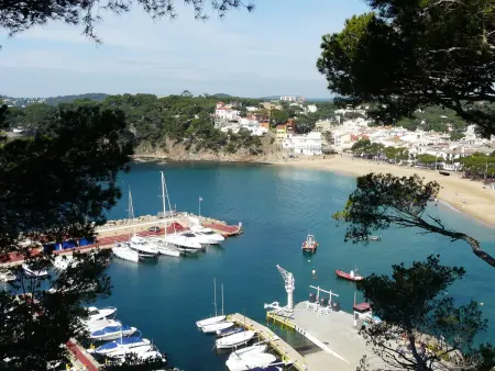 Appartement 4 pers. à 50 m de la plage à Llafranc : photo 13