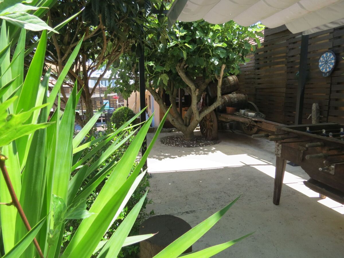 Studio Porto cœur de ville avec jardin partagé - Photo 47