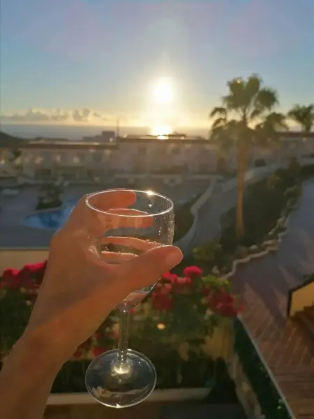 Appartement vue mer, piscine partagée, Chayofa (Tenerife) : photo 24