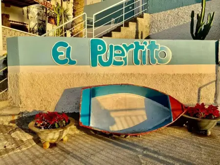 Appartement vue mer, piscine partagée, Chayofa (Tenerife) : photo 35