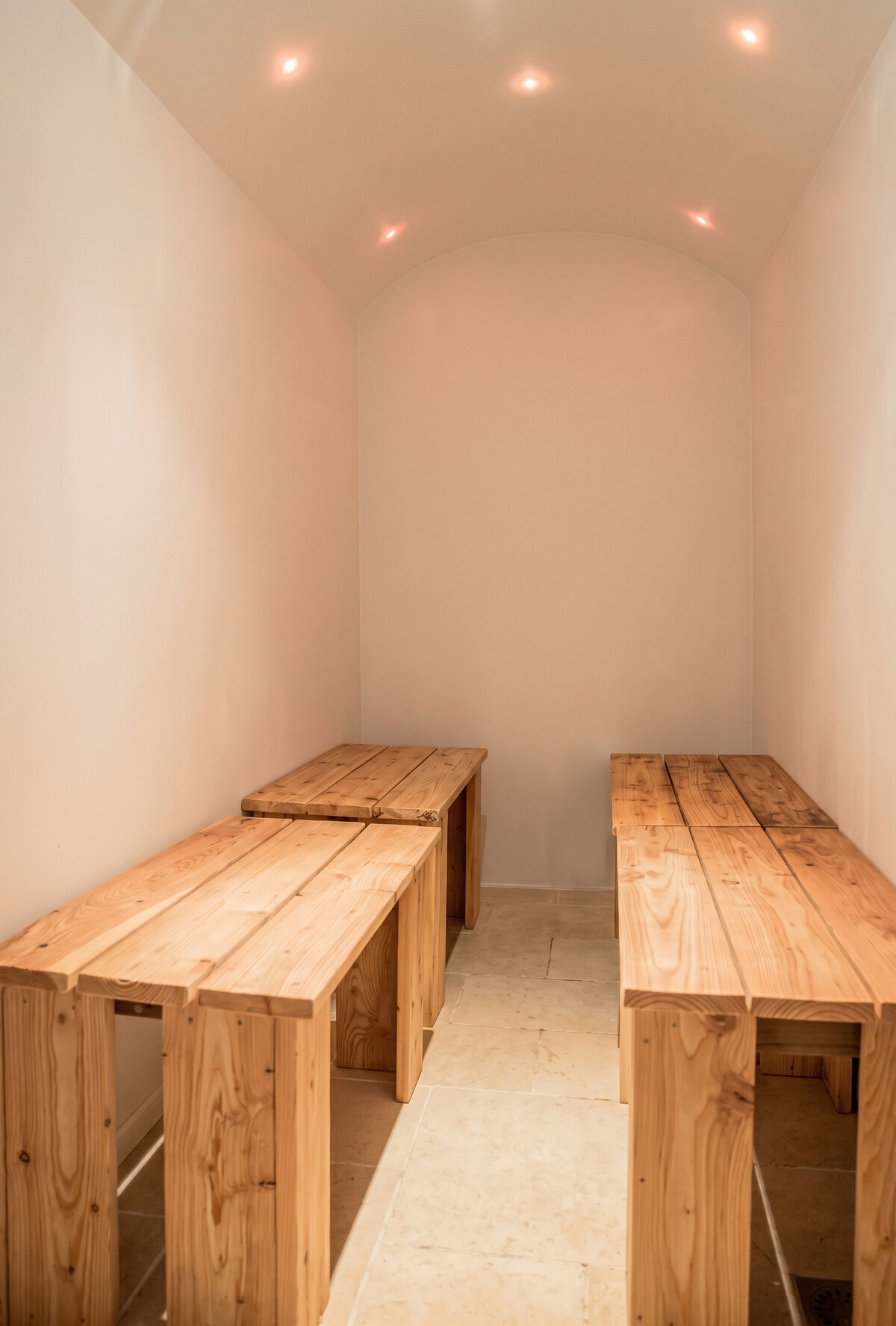 Maison 12 pers. avec spa de nage & ventriglisse à Saint-Junien - Photo 4