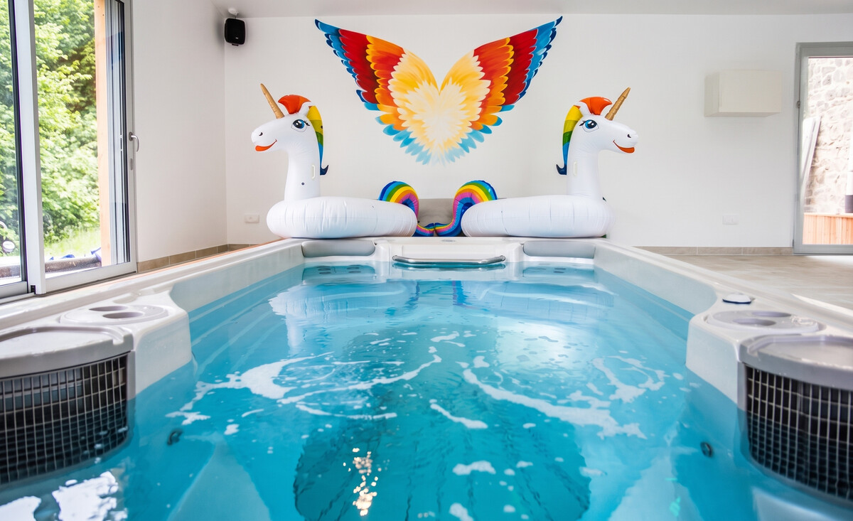 Maison 12 pers. avec spa de nage & ventriglisse à Saint-Junien - Photo 10