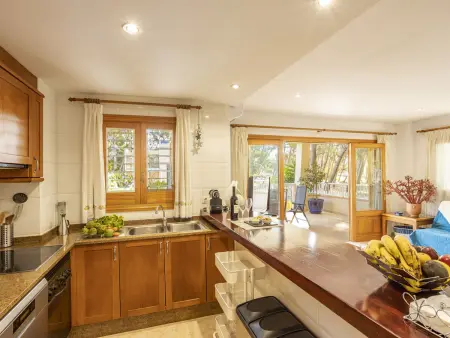 Villa 3 chambres avec jardin méditerranéen à Alcúdia : photo 10