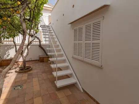 Villa 6 chambres vue mer avec amarres à Alcúdia : photo 34