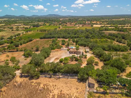 Villa paisible avec piscine privée - 6 pers., Villa 6 personnes à Llucmajor - Photo 32
