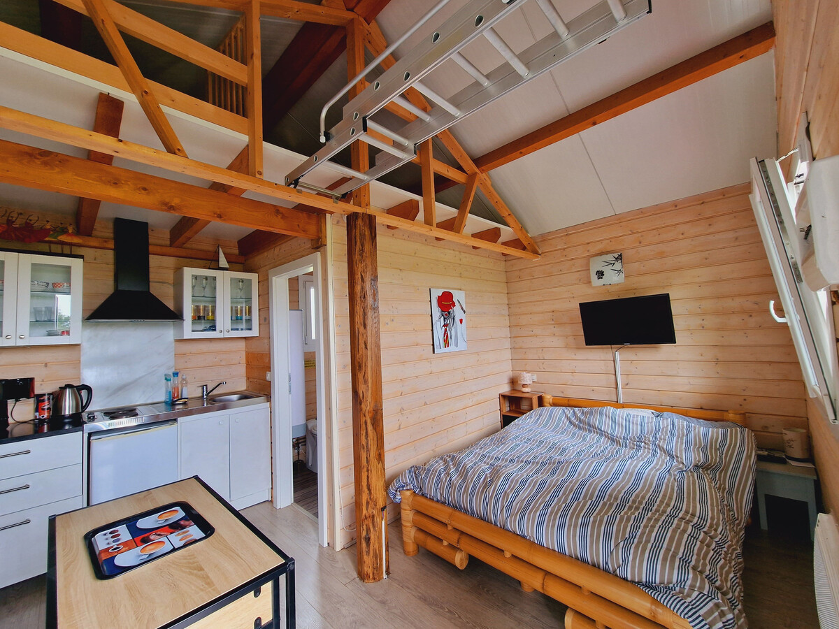 Studio chalet 19 m² avec terrasse vue dégagée à Anoux - Photo 2