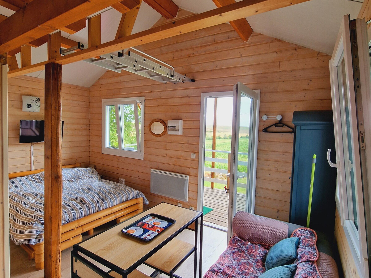Studio chalet 19 m² avec terrasse vue dégagée à Anoux - Photo 3