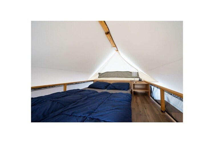 Tente glamping Luxe 6 personnes à Mol - Photo 4