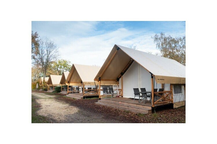 Tente glamping Luxe 6 personnes à Mol - Photo 5