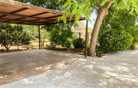 Soncatiu-ca'n Felip – Maison 4 pers. avec piscine à Artà : photo 12
