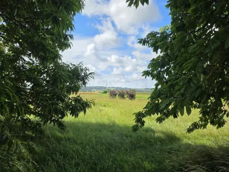 La Petite Châtelaine – Gîte 2 pers. avec jardin clos : photo 9