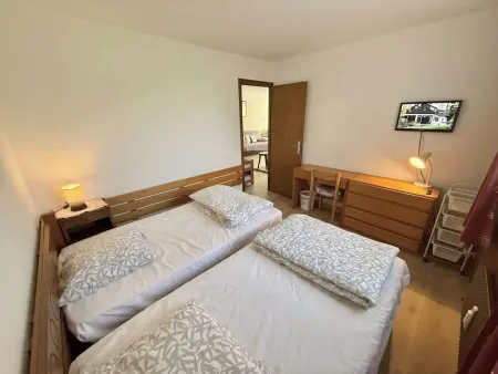 Appartement 6 pers. avec parking couvert à Praz-sur-Arly : photo 6