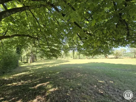 Gîte 4 pers. en hameau avec vue jardin-forêt : photo 19