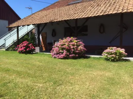Gîte rural 4 pers. sur exploitation agricole : photo 22