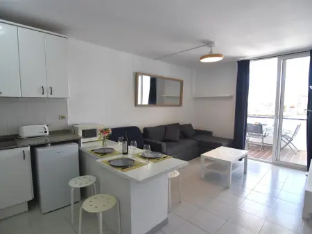 Studio 3 pers. terrasse vue canal, 1,5 km plage : photo 3