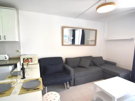 Studio 3 pers. terrasse vue canal, 1,5 km plage : photo 4