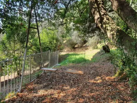 Collina Lagomare, maison lac Massaciuccoli : photo 5