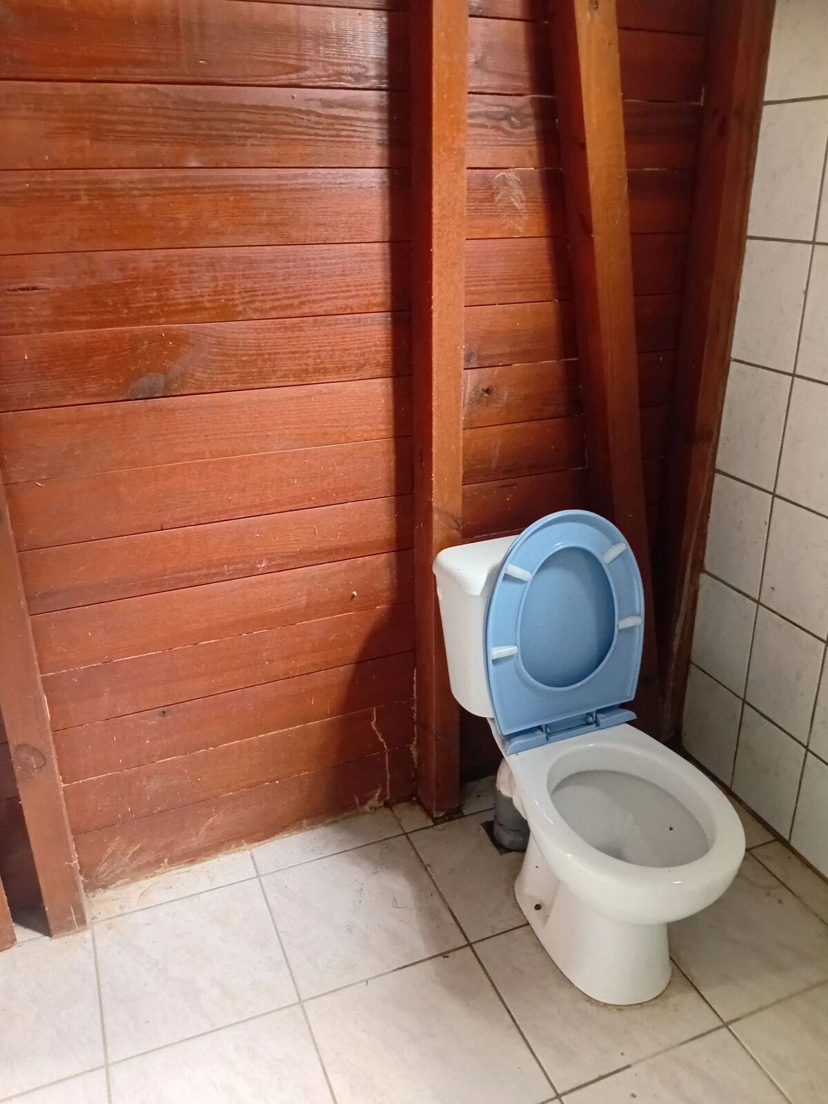 Bungalow 2 chambres aux Abymes, terrasse 70 m² - Photo 8