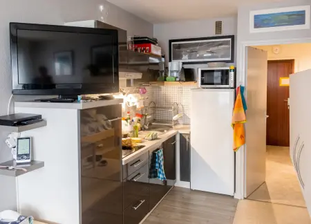 Appartement 34 m² vue montagne à Eaux-Bonnes, balcon et terrasse : photo 12