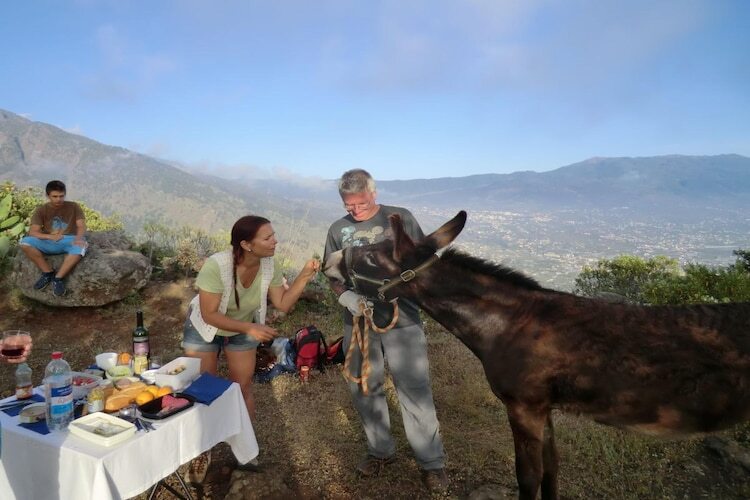 Finca traditionnelle canarien à 650 m, vue mer et montagne - Photo 19