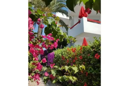 Maison 1 chambre à 600 m de la plage, Cala Millor : photo 17