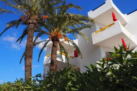 Maison 1 chambre à 600 m de la plage, Cala Millor : photo 29