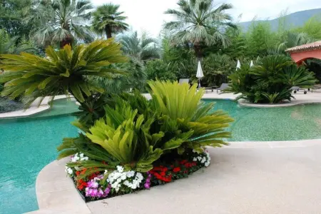 Villa Lou Gourg à Carros : 2 chambres, piscine lagon : photo 11