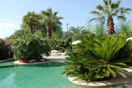Villa Lou Colombier avec piscine et jacuzzi à Carros : photo 15