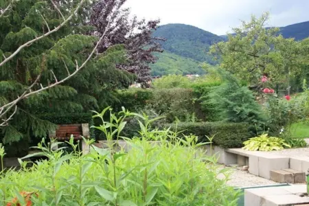 Gîte Bellevue à Breitenbach, vue sur les Vosges : photo 21