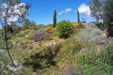 Maison de vacances Mas de Molines à Vogüé : photo 19