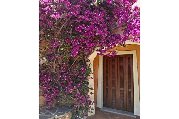 Maison avec vue mer à Porto San Paolo - Photo 5