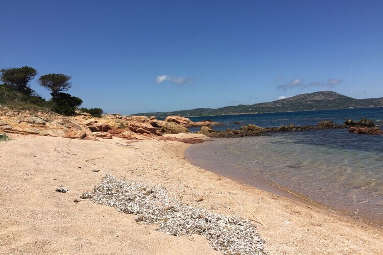 Maison avec vue mer à Porto San Paolo - Photo 22